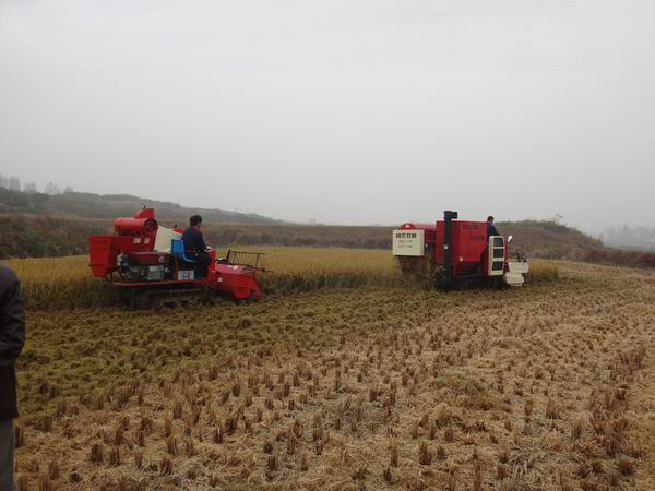 湖北糧食烘干機(jī) 湖北糧食烘干機(jī)