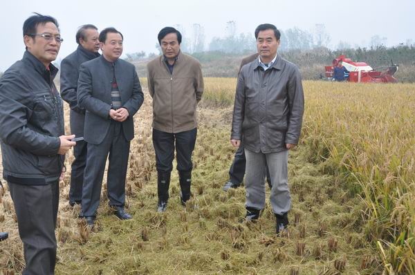 湖北糧食烘干機(jī) 湖北糧食烘干機(jī)