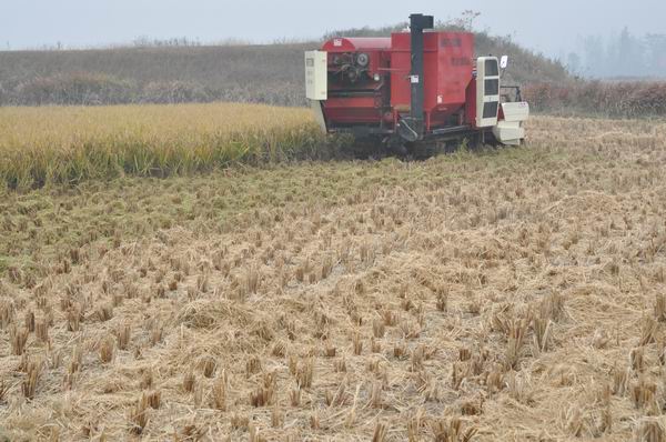 湖北糧食烘干機(jī) 湖北糧食烘干機(jī)